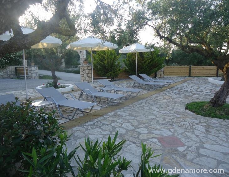 Free umbrellas & sunbeds by the pool